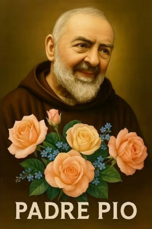 Norimpex diamantové malování svatý Padre Pio 30 × 40 cm