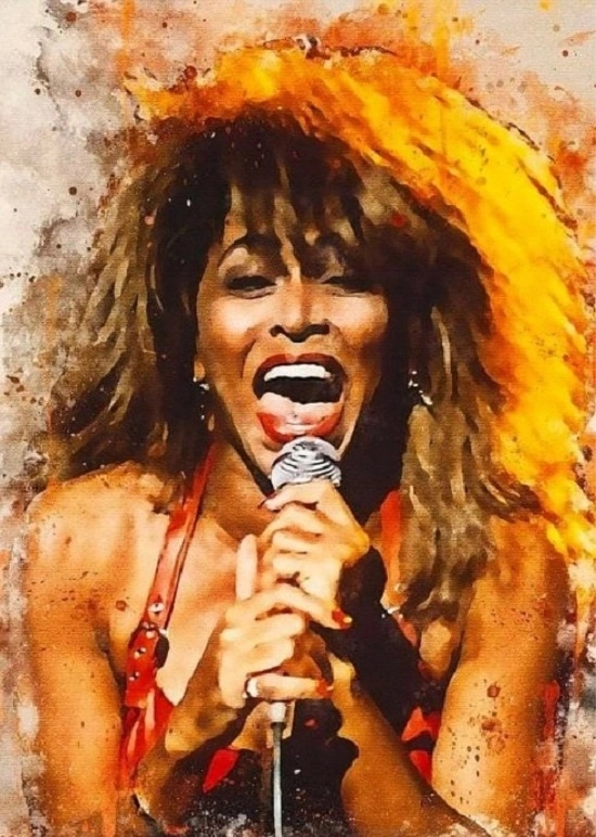 Norimpex Malování podle čísel Tina Turner zpívá 40 × 50 cm