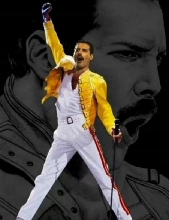 Norimpex malování podle čísel – Póza Freddieho Mercuryho 40 × 50 cm