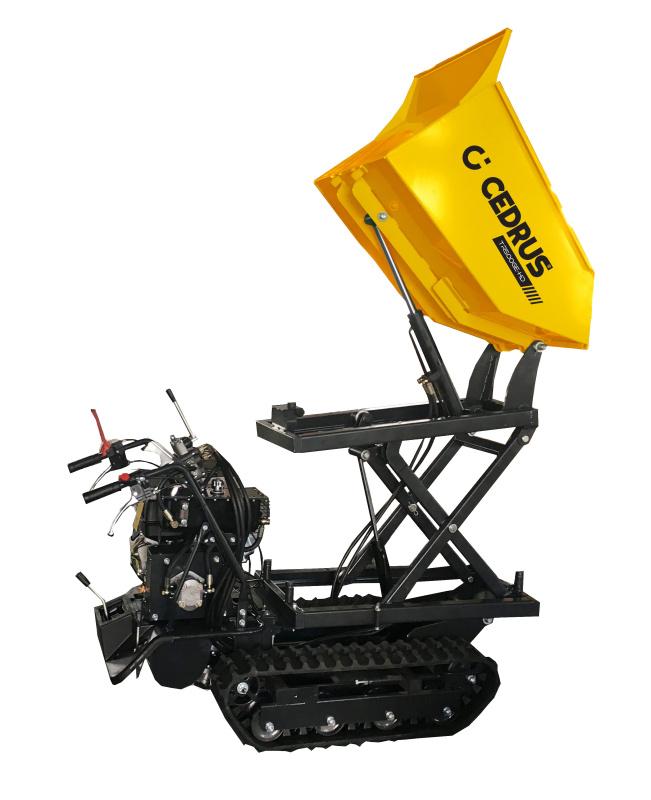 Pásový transportér s horním výsypem Hahn & Sohn Cedrus TR500GE-HD, nosnost 500 kg