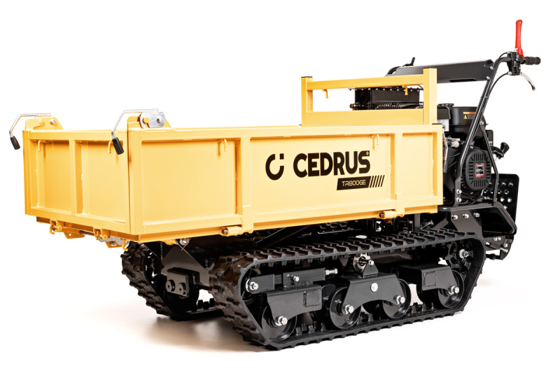 Pásový transportér Hahn & Sohn Cedrus TR800GE, nosnost 800 kg