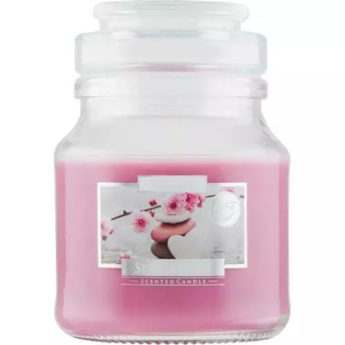 Bispol svíčka spa garden snd71-254 120g