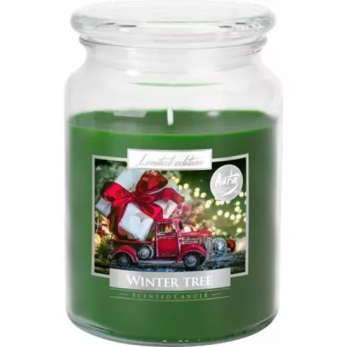 BISPOL Premium Line Winter Tree vonná svíčka 500 g