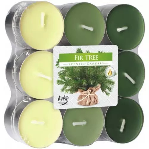 AURA Candles Vonná čajová svíčka Fir Tree pr. 3,9 cm, 18 ks