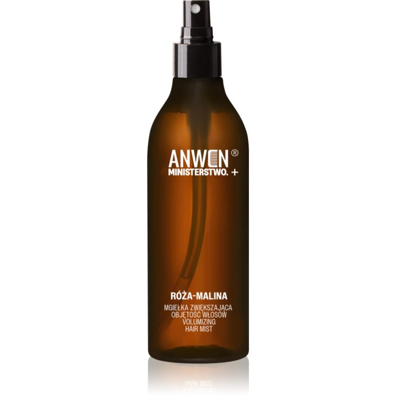 Anwen x Ministerstwo mlha pro objem vlasů 150 ml