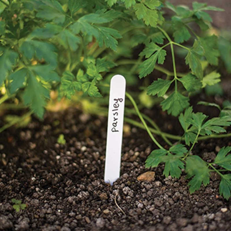 BRADAS Štítky zapichovací k rostlinám 15x1,5cm/25ks