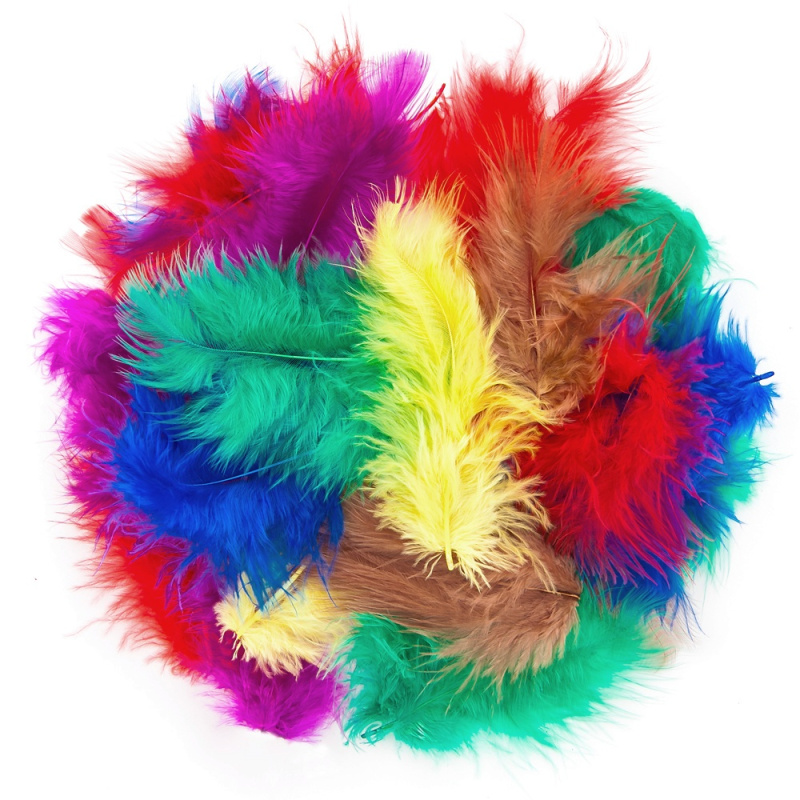 Peříčka (5g) barevný mix