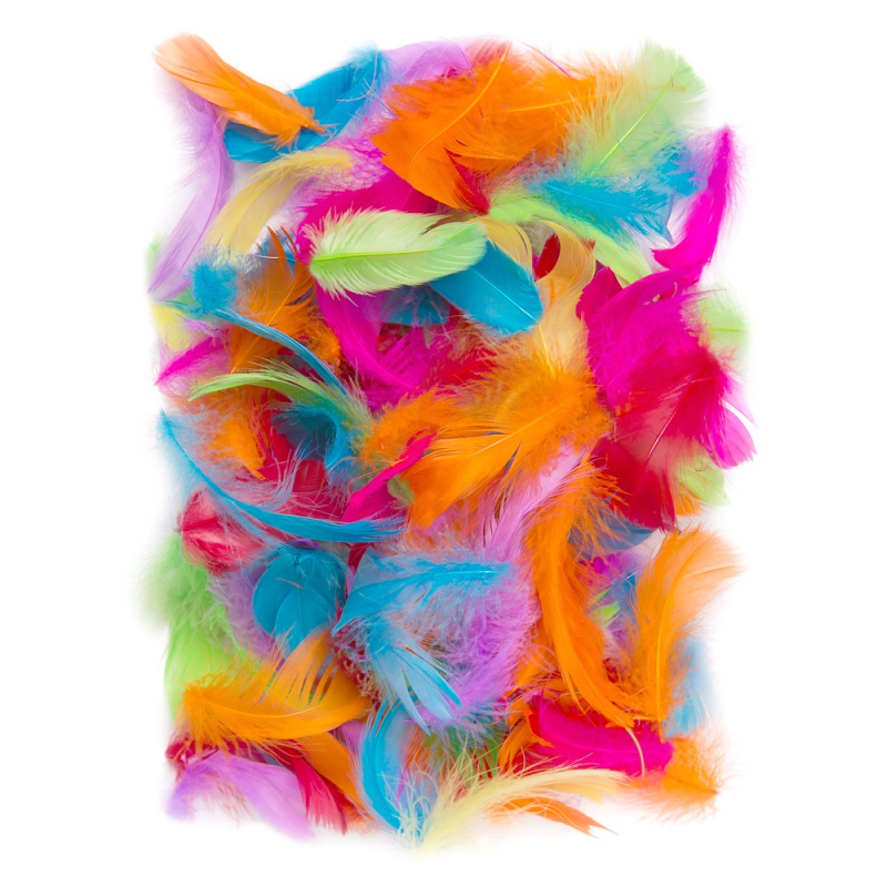 Peříčka (10g) zářivý barevný mix