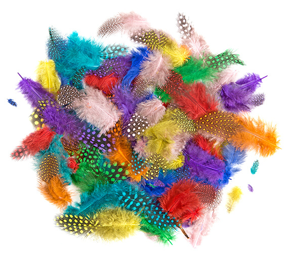 Peříčka (10g) bažantí kropenatá - barevný mix