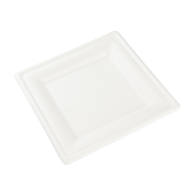 EcoRevolution Obaly Talíř EKO z cukrové třtiny 20 x 20 cm čtvercový bílý bal/50 ks Balení: 1