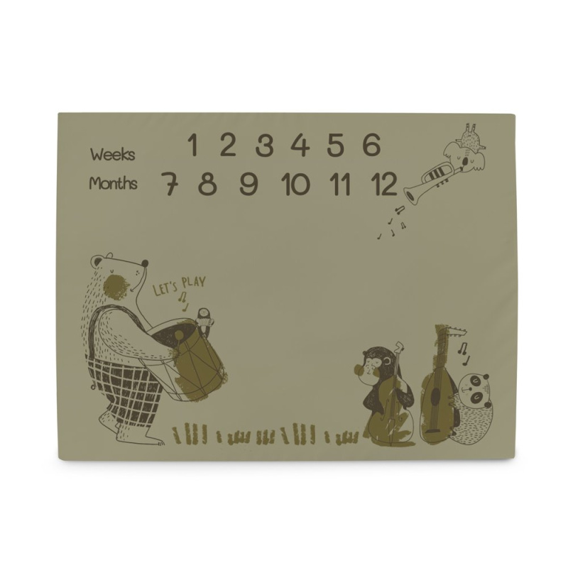 Ceba Podložka milníková na focení (92x72) Basic Band