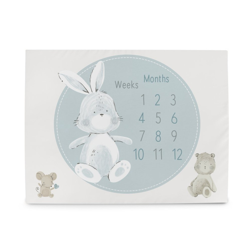 Ceba Podložka milníková na focení (92x72) Basic Friends