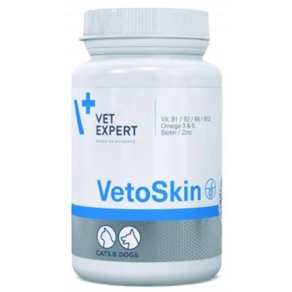 VETEXPERT VetoSkin pro psy a kočky 60 kapslí
