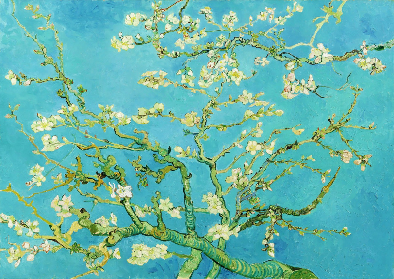 Puzzle Vincent Van Gogh větev mandlovníku 1000 dílků