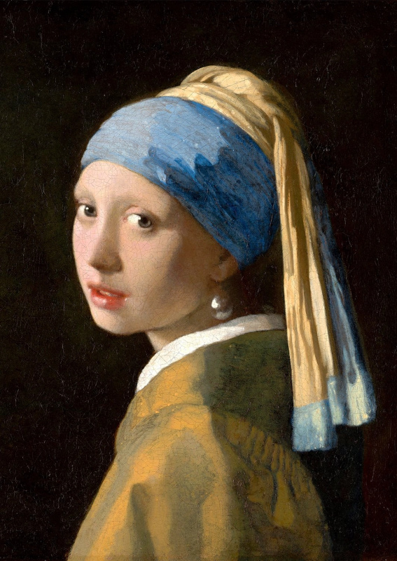 Enjoy Johannes Vermeer: Dívka s perlou 1000 dílků