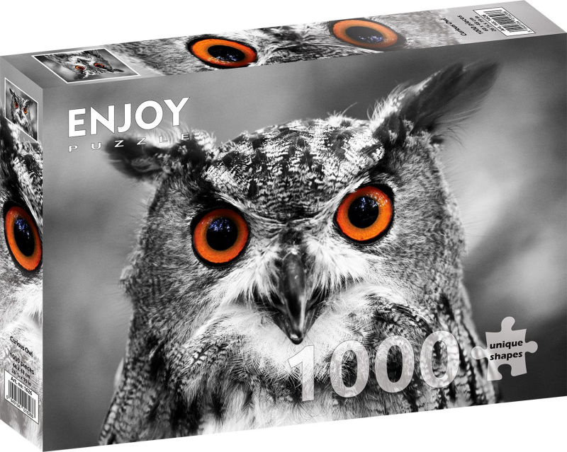 Enjoy Zvědavá sova 1000 dílků