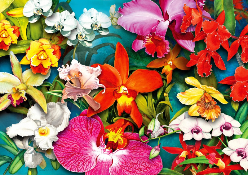 ENJOY Džungle orchidejí 1000 dílků