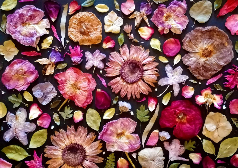 ENJOY Růžová 1000 dílků