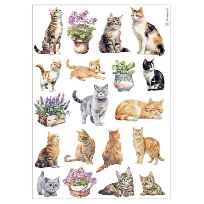 Rýžový papír Kočky