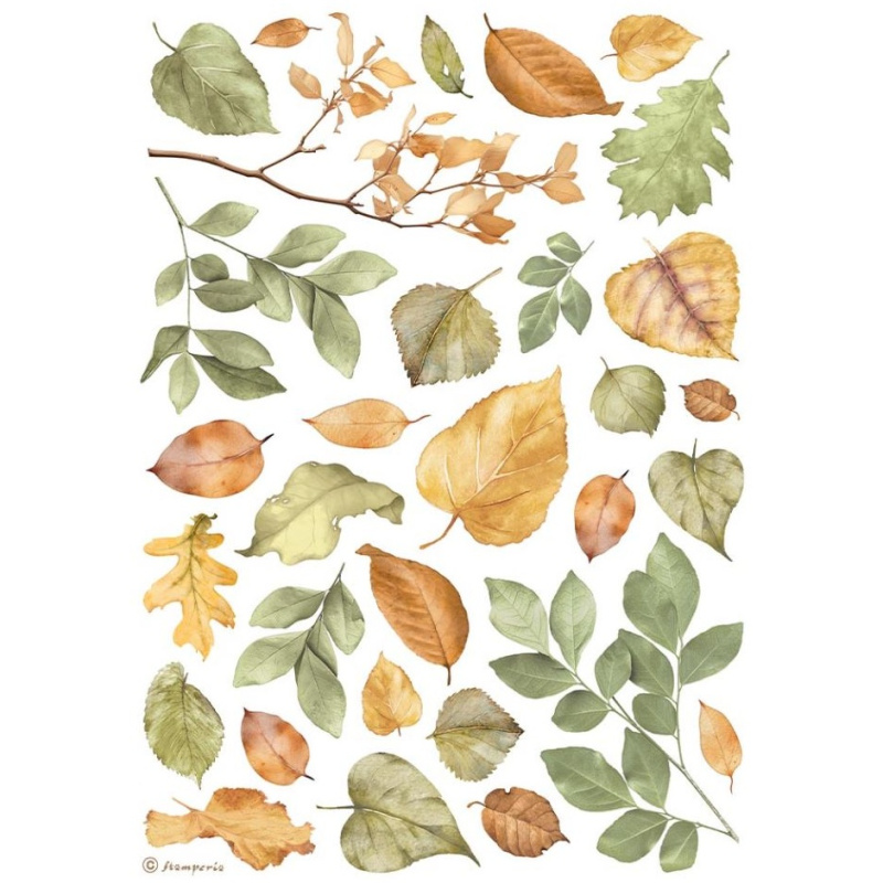 Rýžový papír Listy