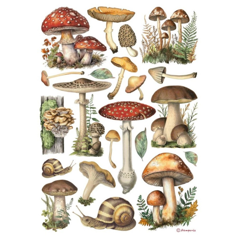 Rýžový papír Houby