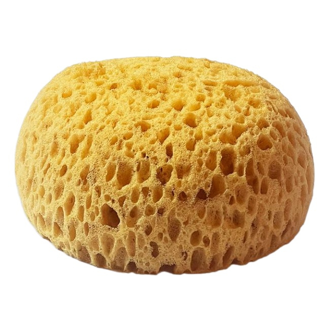 Přírodní malířská houba 13×11,5×6cm