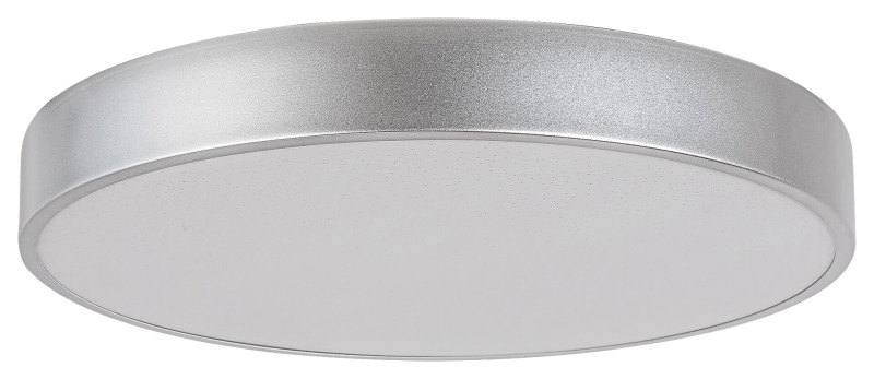 Stropní svítidlo Octav stříbrná LED 24W RABALUX 71135