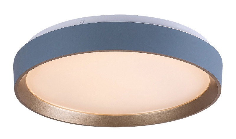 Stropní svítidlo Liatris šedá LED 24W RABALUX 71185