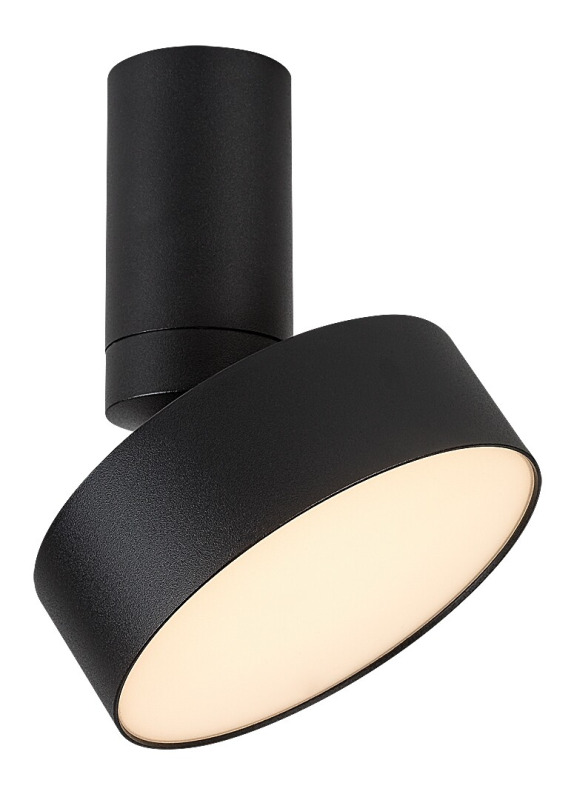 Stropní svítidlo Ovidia černá LED 16W RABALUX 71322