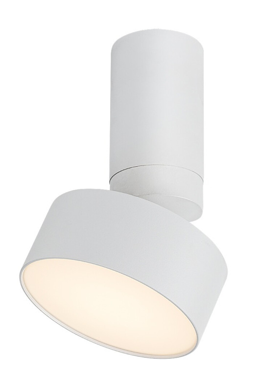 Stropní svítidlo Ovidia bílá LED 10W RABALUX 71326