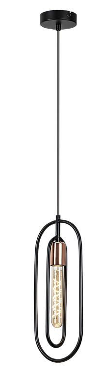 Závěsné svítidlo Rovier matná černá E27 1×40W RABALUX 72263