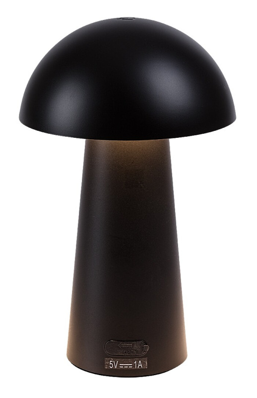 Dekorativní svítidlo Mireo černá LED 1,5W RABALUX 76036