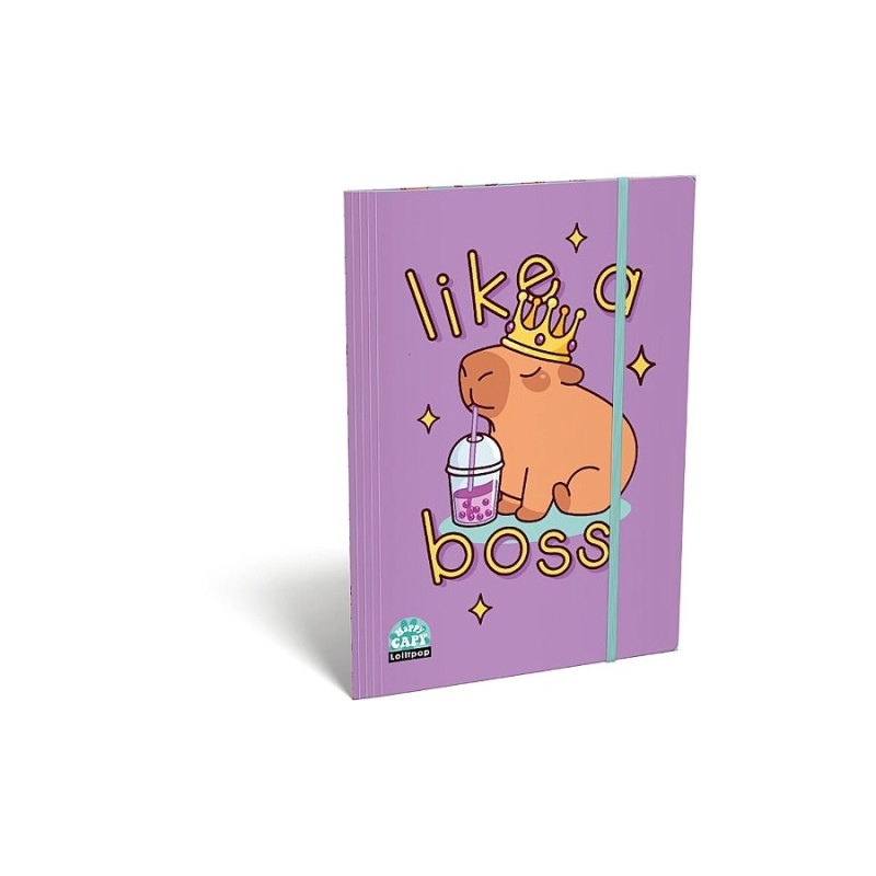 Spisové desky A5 LizzyCard capybara