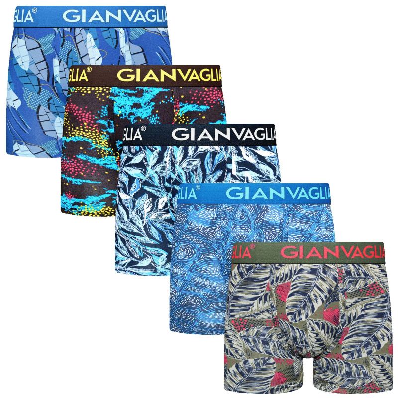 5PACK pánské boxerky Gianvaglia vícebarevné (GVG-5074) XL, trenky / trenýrky