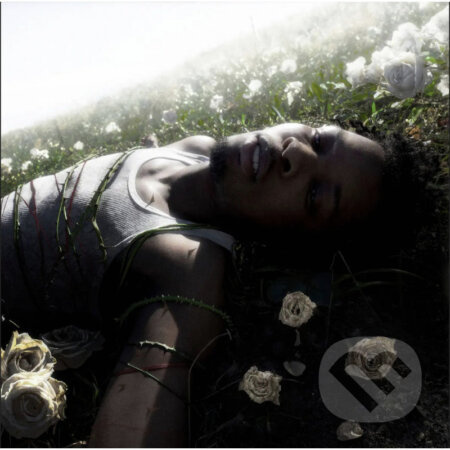 D4Vd:  Withered - D4Vd, D4vd