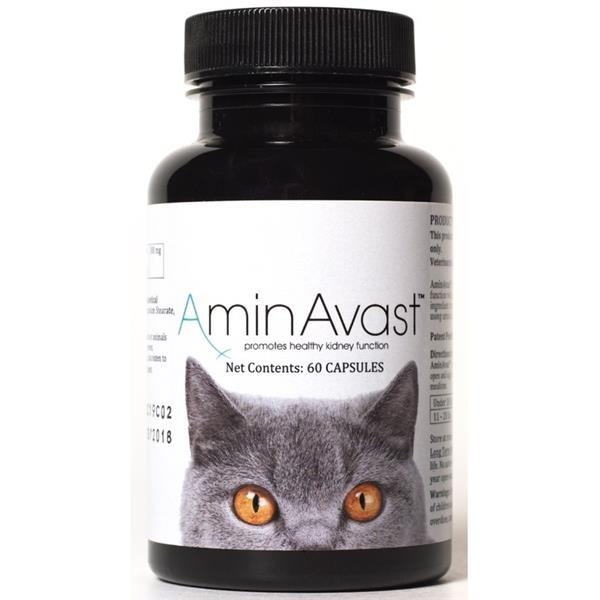 AMINAVAST Cat pro správnou funkci ledvin u koček 60 kapslí