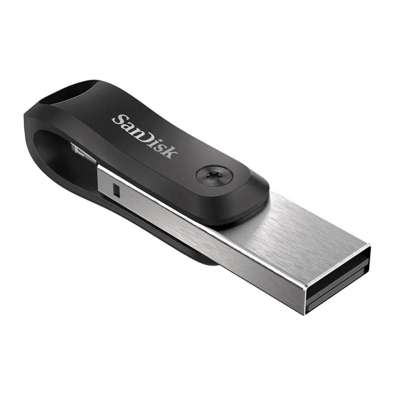 SanDisk SDIX60N-256G-GN6NE Černá/stříbrná