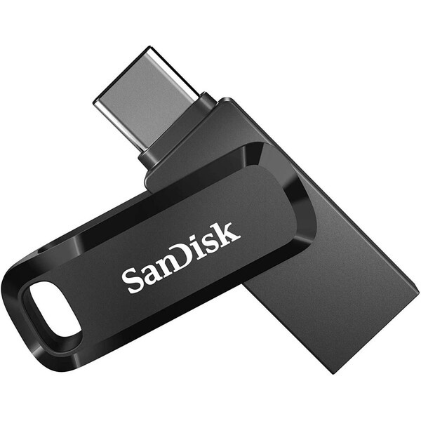 SanDisk SDDDC3-256G-G46 Černá