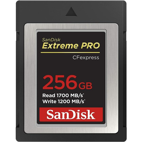 SanDisk SDCFE-256G-GN4NN