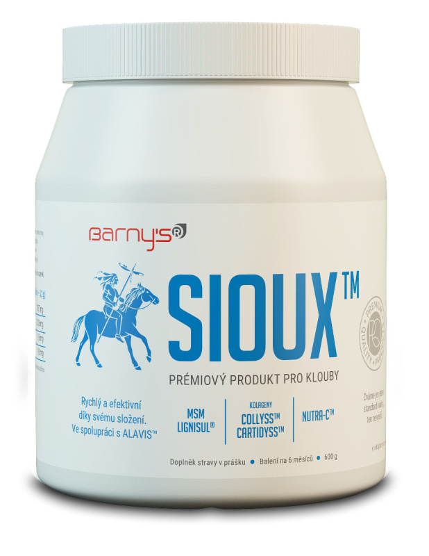 BARNY’S Sioux MSM 600 g