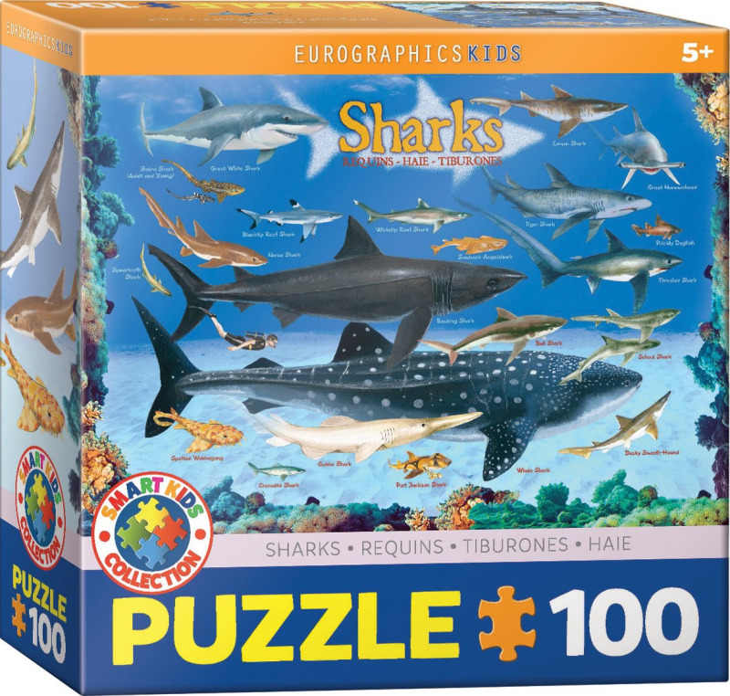 EUROGRAPHICS Puzzle Žraloci 100 dílků