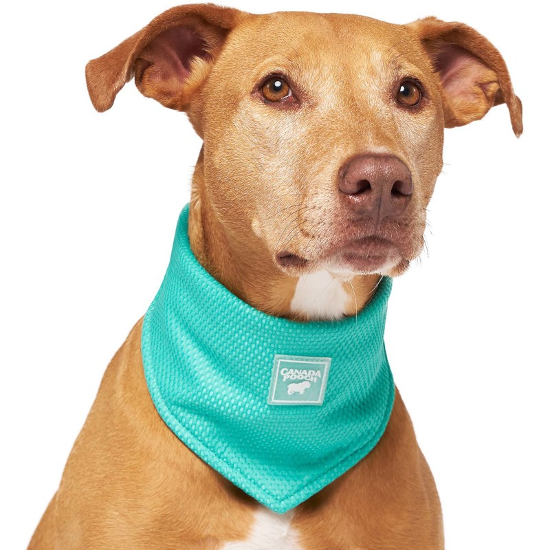 Chladicí šátek Canada Pooch S zelený