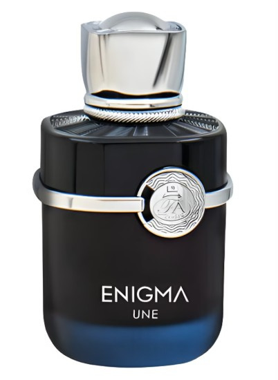 French Avenue Enigma Une parfémovaná voda pro muže 100 ml