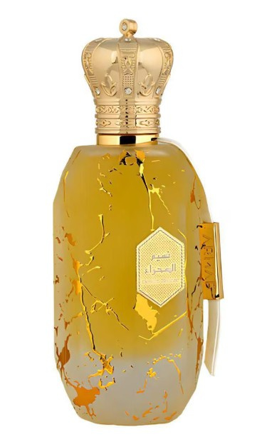 Armaf Desert Breeze parfémovaná voda unisex 100 ml