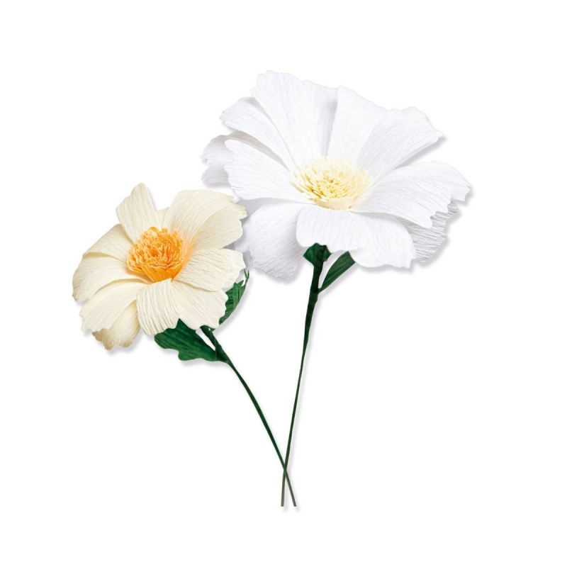 Sedmikrásky - vyřezávací kovové šablony Thinlits (8ks)