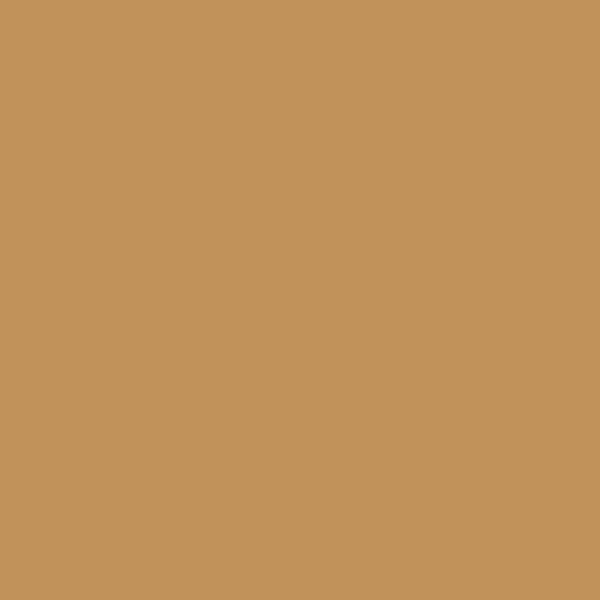 Watercolour pastelky Derwent 58 RAW SIENNA