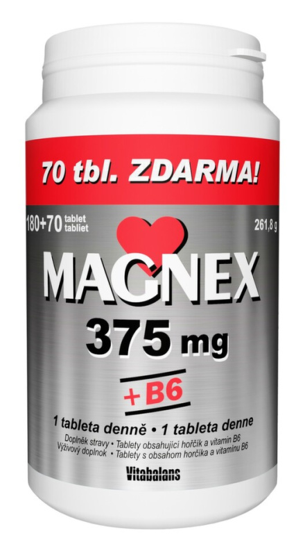Magnex 375mg+B6 tbl.250