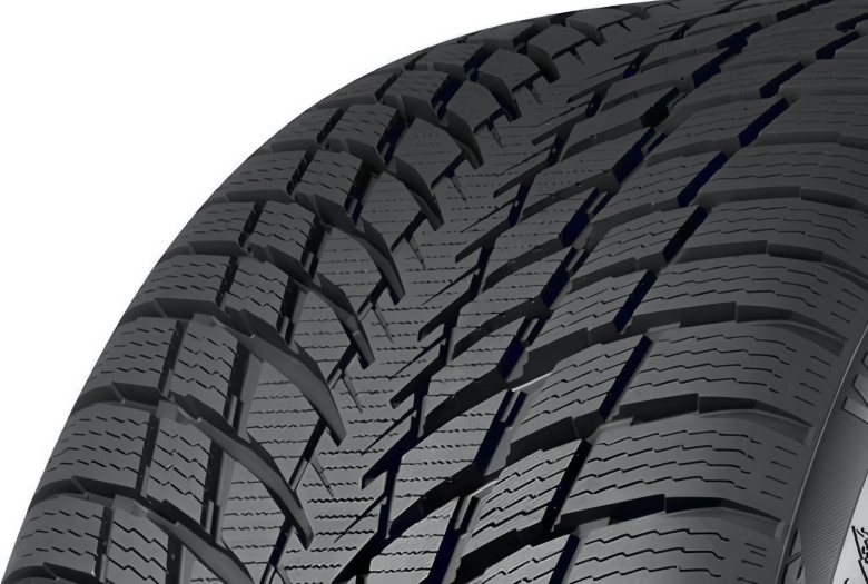 Nokian 225/45R19*V WR Snowproof P 96V XL