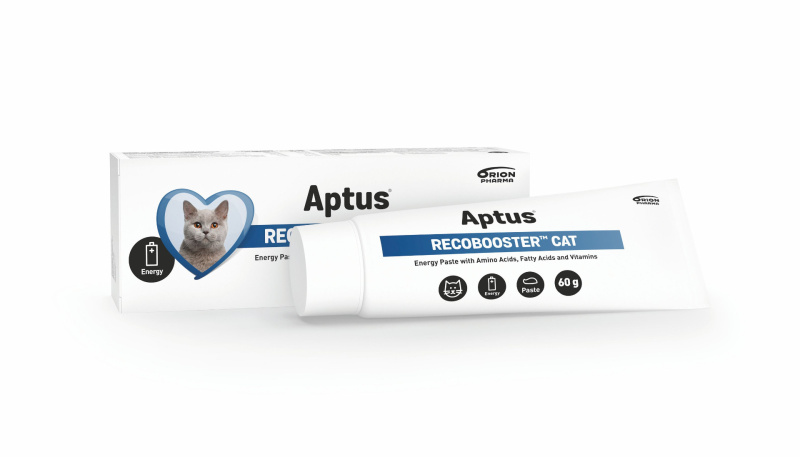 Aptus Recobooster Cat 60g