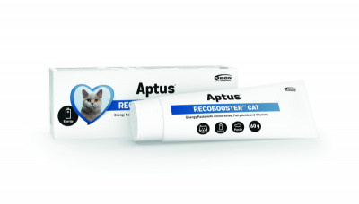 Aptus® Recobooster Cat 60g